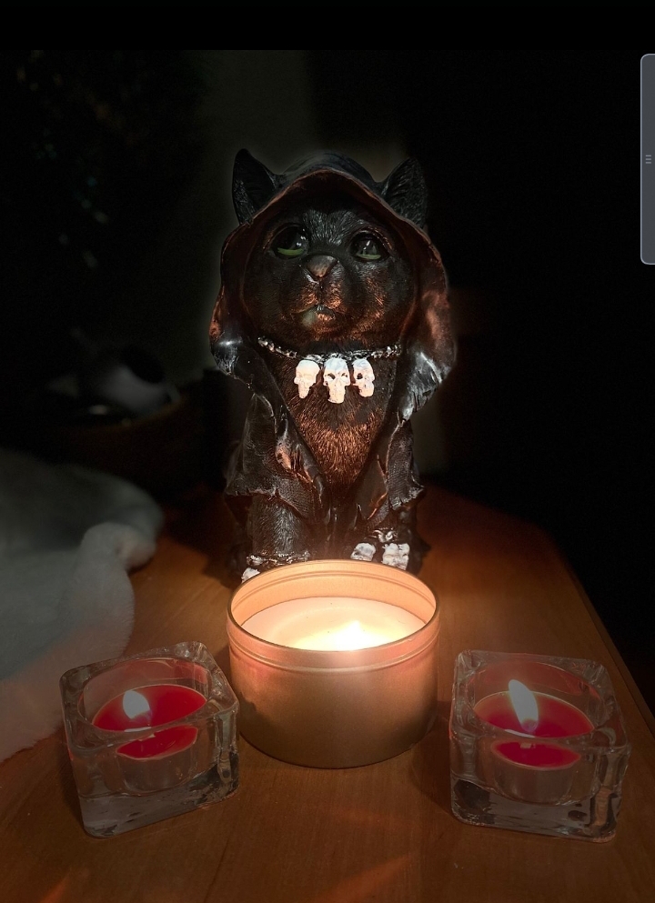 Фотография покупателя товара Копилка для денег «Кот-хиппи», полистоун, чёрный, 23×13×16 см - Фото 1