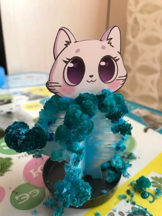 Фотография покупателя товара Набор для выращивания кристалла «Опыты. Чудесные кристаллы», котик