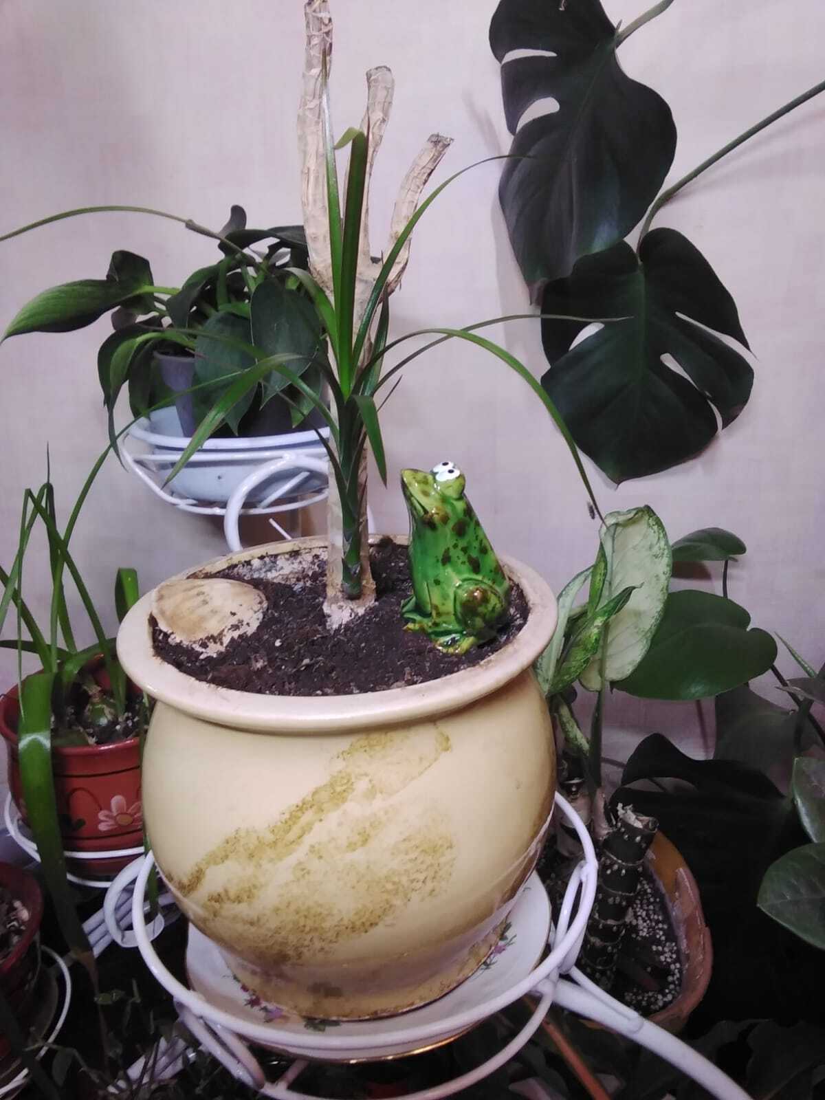 Фотография покупателя товара Фигурка керамика «Мечтательная лягушка», 4.6×5.7×6.6 см - Фото 2