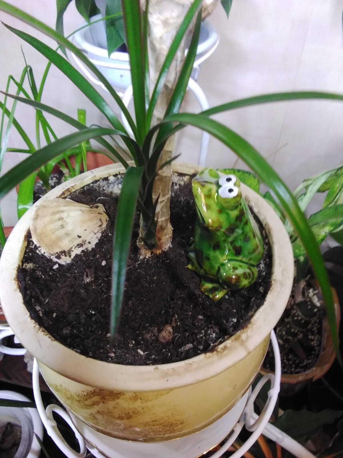 Фотография покупателя товара Фигурка керамика «Мечтательная лягушка», 4.6×5.7×6.6 см - Фото 3