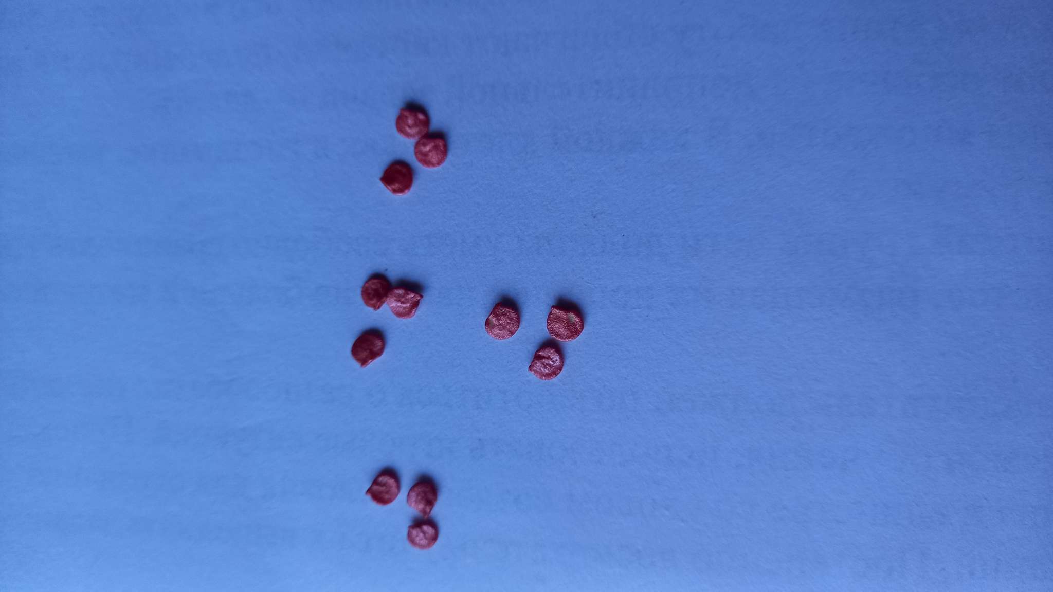 Фотография покупателя товара Семена Перец «Лисичка», жёлтая, 10 шт., «Гавриш» - Фото 2