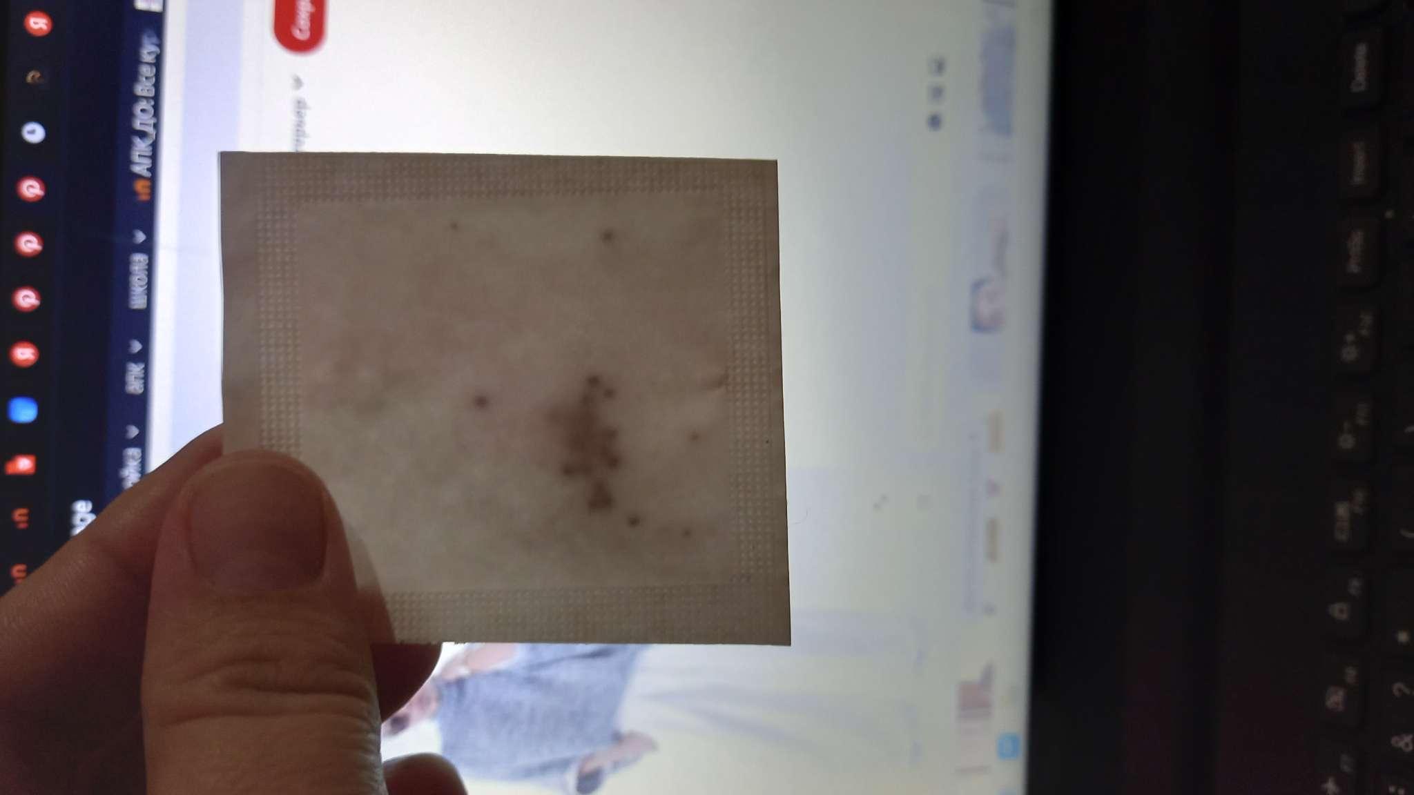 Фотография покупателя товара Семена Капуста Брюссельская "Рубиновые Бусы", Сем. Алт, ц/п, 0,1 г - Фото 3