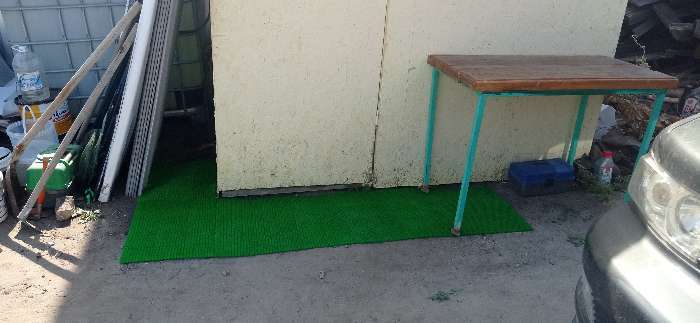 Фотография покупателя товара Покрытие ковровое щетинистое без основы «Травка», 40×53 см, цвет зелёный