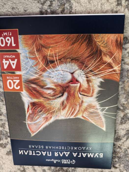 Фотография покупателя товара Бумага для пастели А4, 20 листов "Кот", блок 160 г/м2, в папке - Фото 1