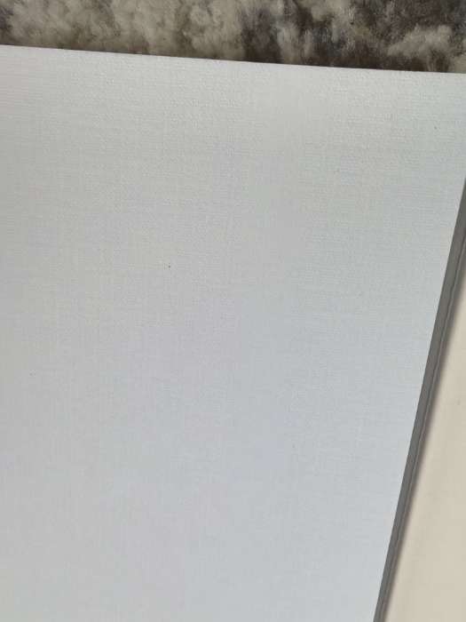 Фотография покупателя товара Бумага для пастели А4, 20 листов "Кот", блок 160 г/м2, в папке - Фото 2