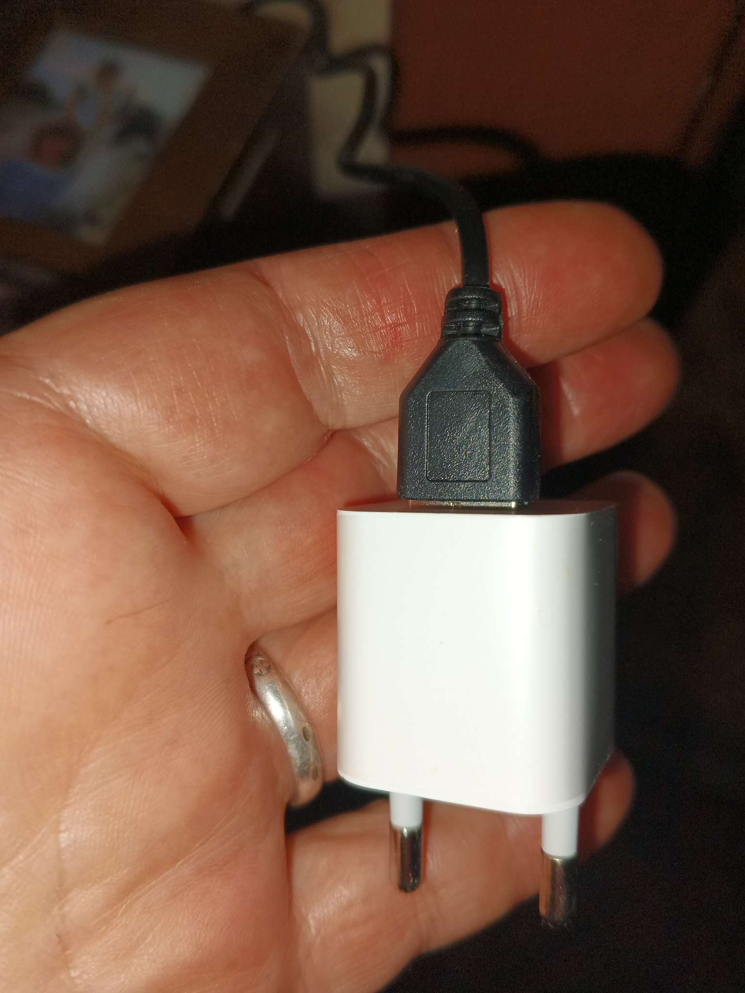 Фотография покупателя товара Сетевое зарядное устройство GQ-2, USB, 1 А, белое - Фото 2