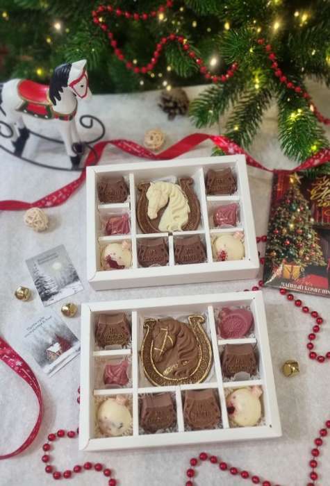 Фотография покупателя товара Форма для шоколада новогодняя Доляна «Шар», силикон, 15×15×2 см, 6 ячеек d=3.7 см, цвет красный - Фото 4