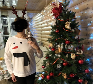 Фотография покупателя товара Ободок новогодний карнавальный «Рога» - Фото 1