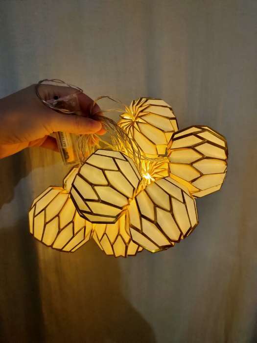 Фотография покупателя товара Гирлянда «Нить» 2 м с насадками «Серый фонарик», IP20, прозрачная нить, 10 LED, от батареек АА×2, свечение тёплое белое - Фото 1