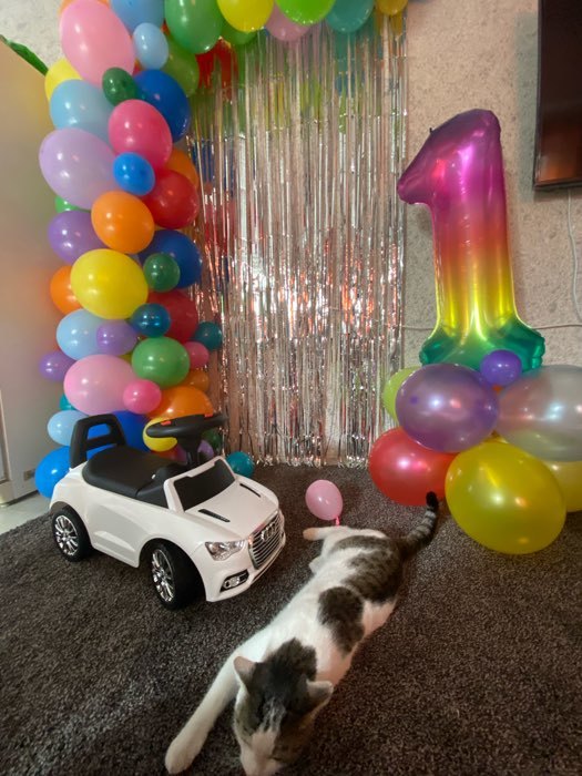 Фотография покупателя товара Букет из шаров «День рождения – облако. 5 лет», фольга, латекс, набор 7 шт. - Фото 4