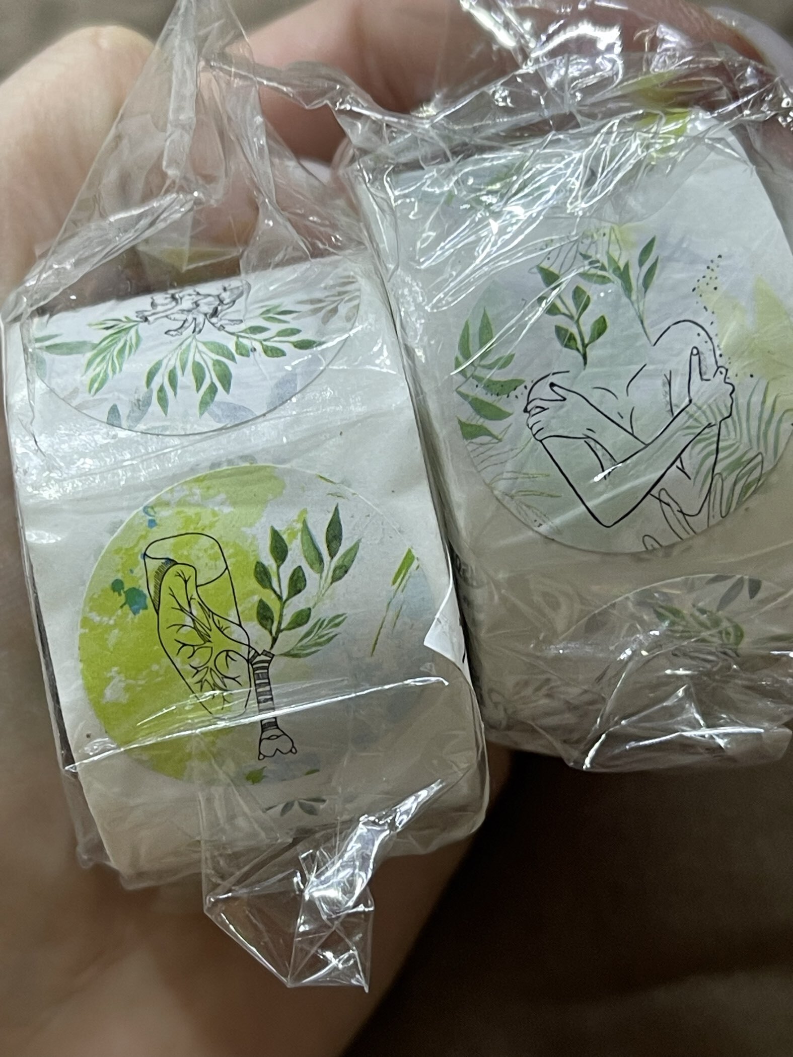 Фотография покупателя товара Набор наклеек для декора «Арт Узор. Акварель. Растения», в рулоне, бумага, d=2.5 см, 252 шт. - Фото 3