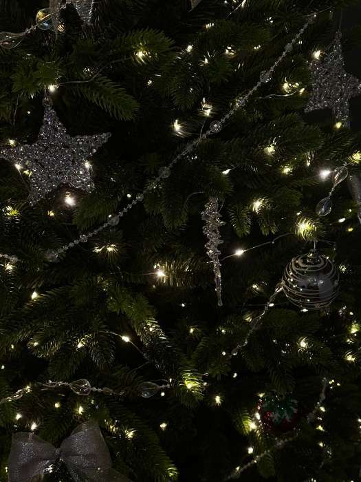Фотография покупателя товара Искусственная ёлка Max Christmas «Изумрудная», 120 см, d нижнего яруса 88 см, ветки смешанные шарнирные - Фото 4