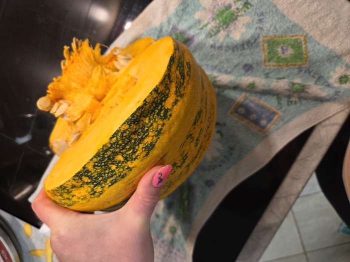 Фотография покупателя товара Семена Тыква «Голосемянка», среднеранняя, 2 г, «Золотая Сотка Алтая» - Фото 3