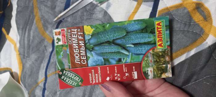 Фотография покупателя товара Семена Огурец "Любимец семьи F1", скороспелый, партенокарпический, 10 шт. - Фото 3