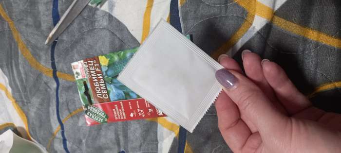 Фотография покупателя товара Семена Огурец "Любимец семьи F1", скороспелый, партенокарпический, 10 шт. - Фото 2