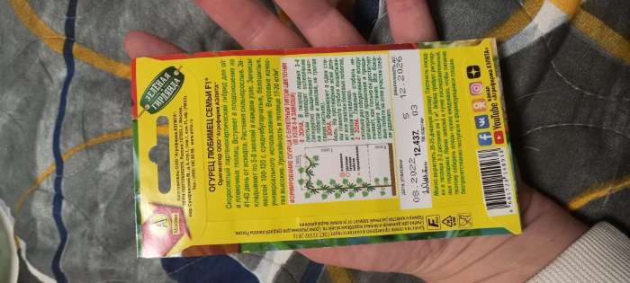 Фотография покупателя товара Семена Огурец "Любимец семьи F1", скороспелый, партенокарпический, 10 шт. - Фото 4