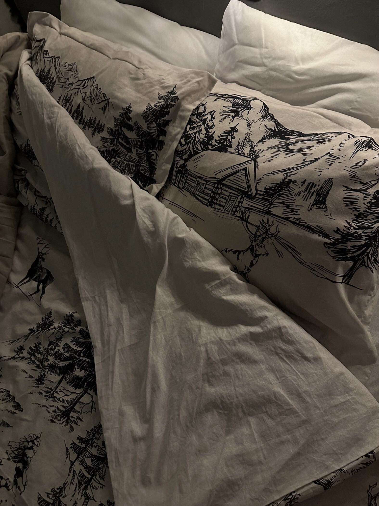 Фотография покупателя товара Постельное бельё 1.5-спальное «Этель» Winter landscape, поплин - Фото 1