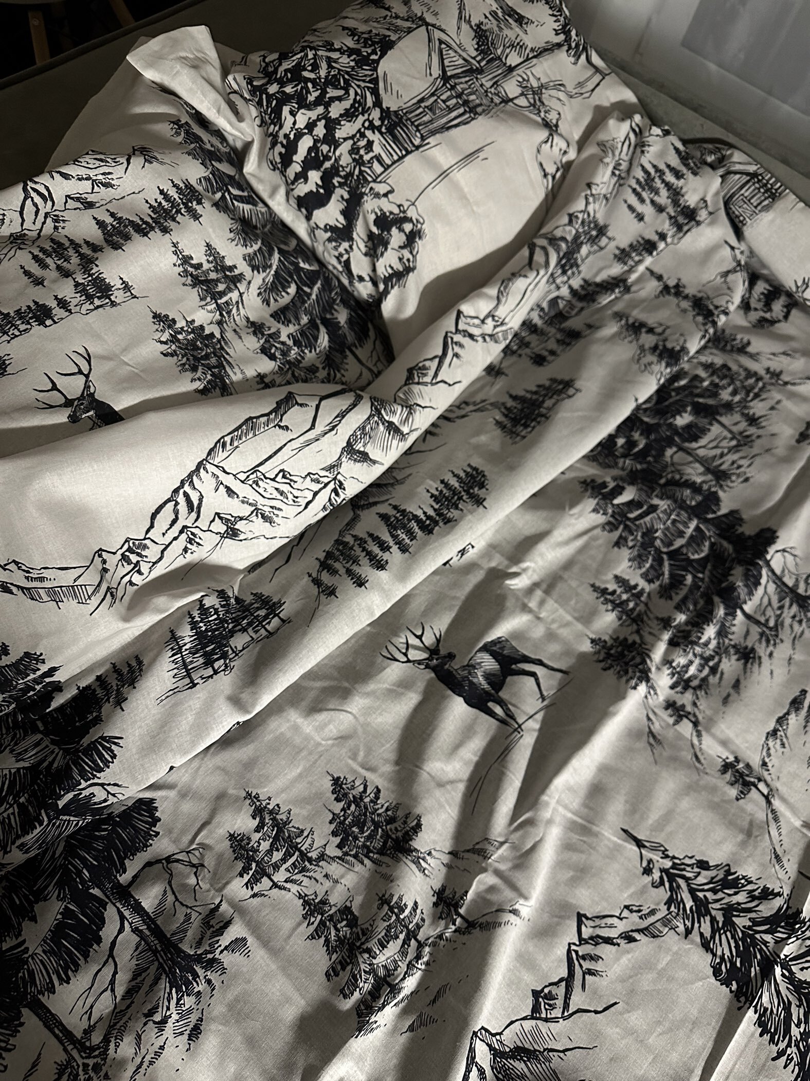 Фотография покупателя товара Постельное бельё 1.5-спальное «Этель» Winter landscape, поплин - Фото 3