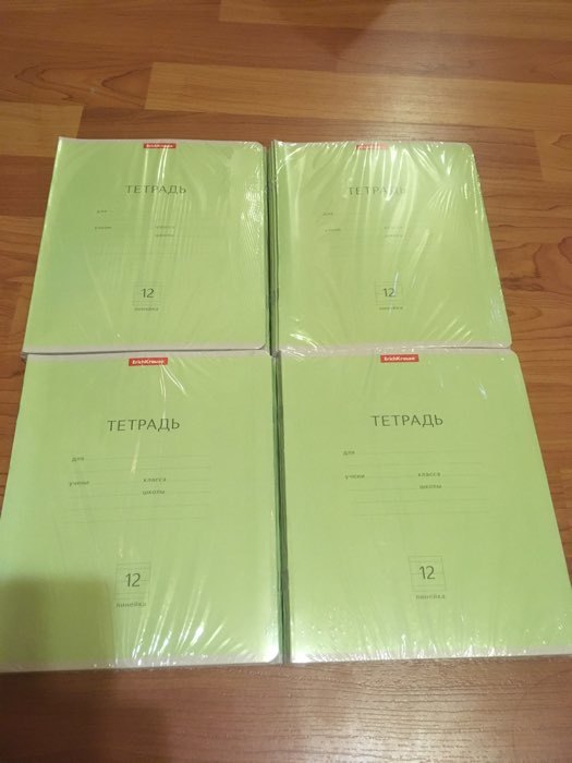 Фотография покупателя товара Тетрадь 12 листов в линейку ErichKrause "Классика", обложка мелованный картон, блок офсет, зелёная - Фото 2