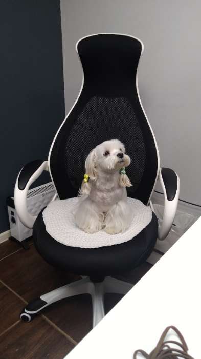 Фотография покупателя товара Эргономичное кресло руководителя  YS - 717, белое - Фото 1