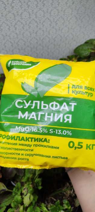 Фотография покупателя товара Удобрение минеральное Сульфат магния (магний сернокислый), 0.5 кг - Фото 2