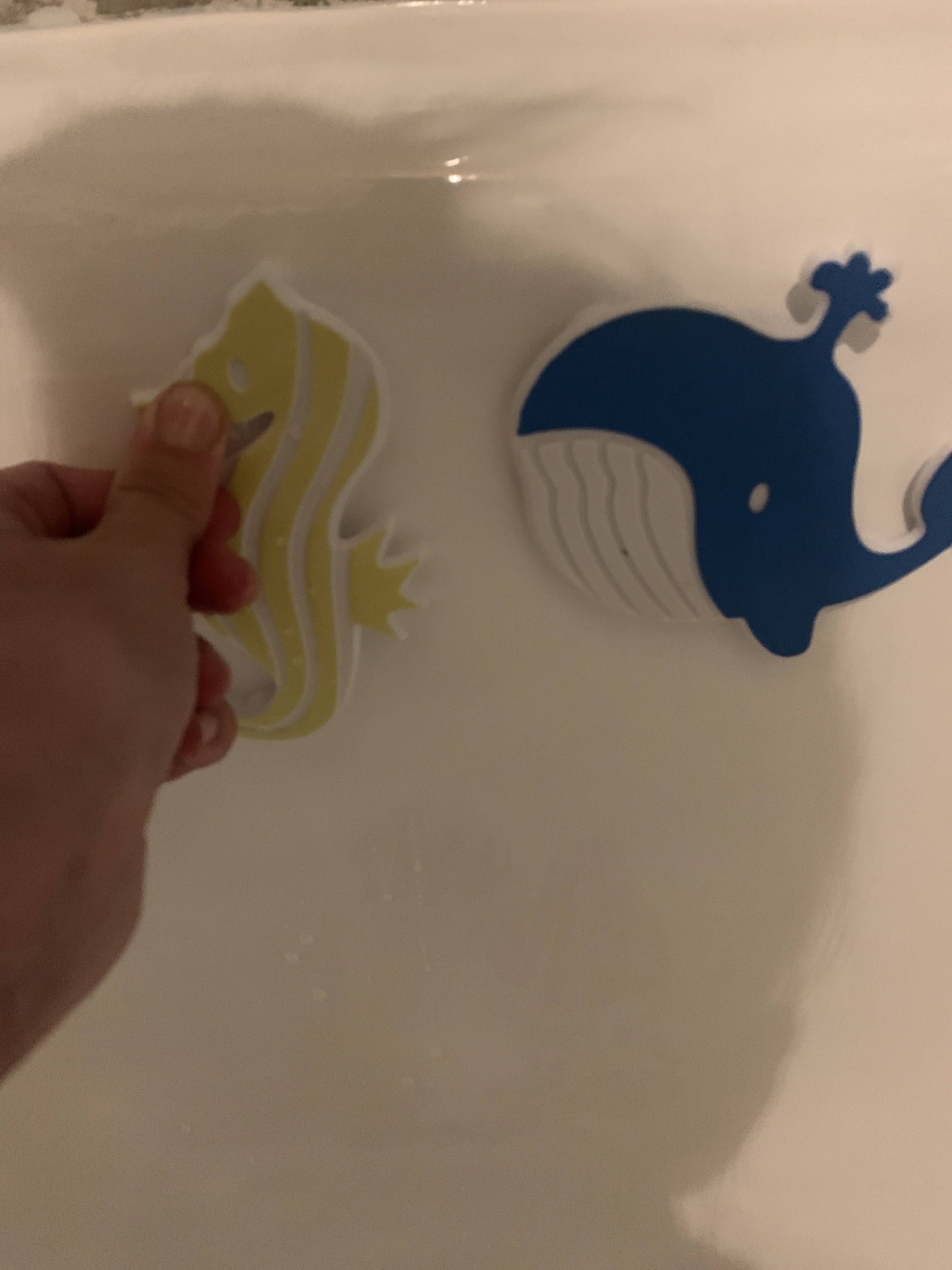 Фотография покупателя товара Набор мини-ковриков для ванны на присосках Доляна «Океан», 16×16 см, 5 шт, цвет МИКС - Фото 17