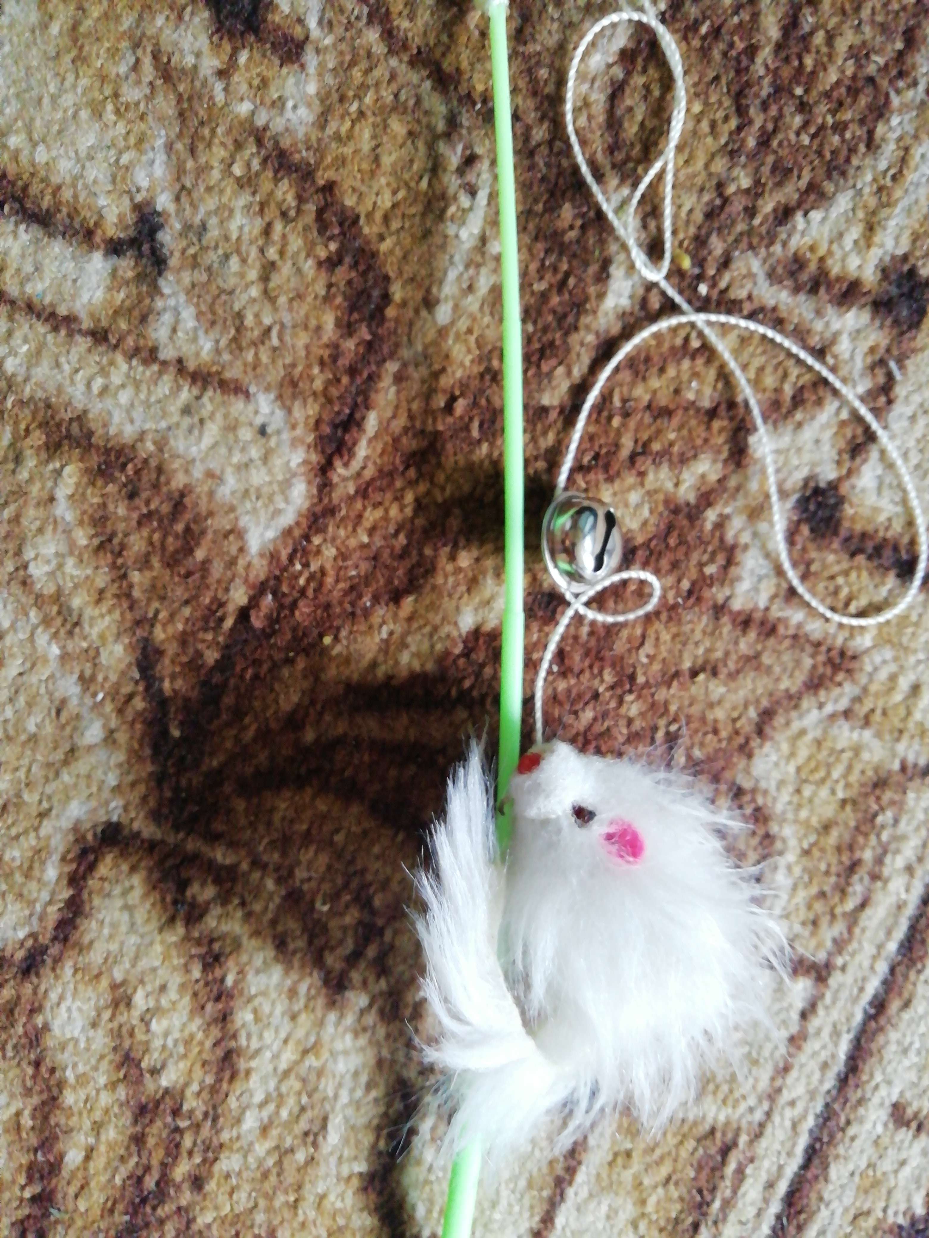 Фотография покупателя товара Дразнилка-удочка "Цветная мышка", 32 см, микс цветов