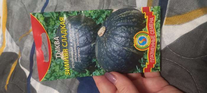 Фотография покупателя товара Семена Тыква "Зимняя сладкая", 2 г - Фото 1