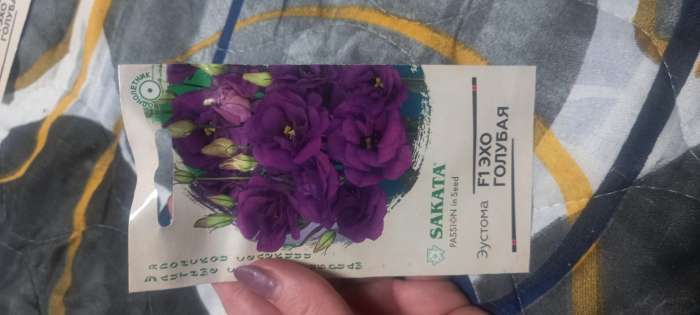 Фотография покупателя товара Семена цветов Эустома "Эхо" голубая F1, гранулы, пробирка, О, ц/п, 4 шт. - Фото 5