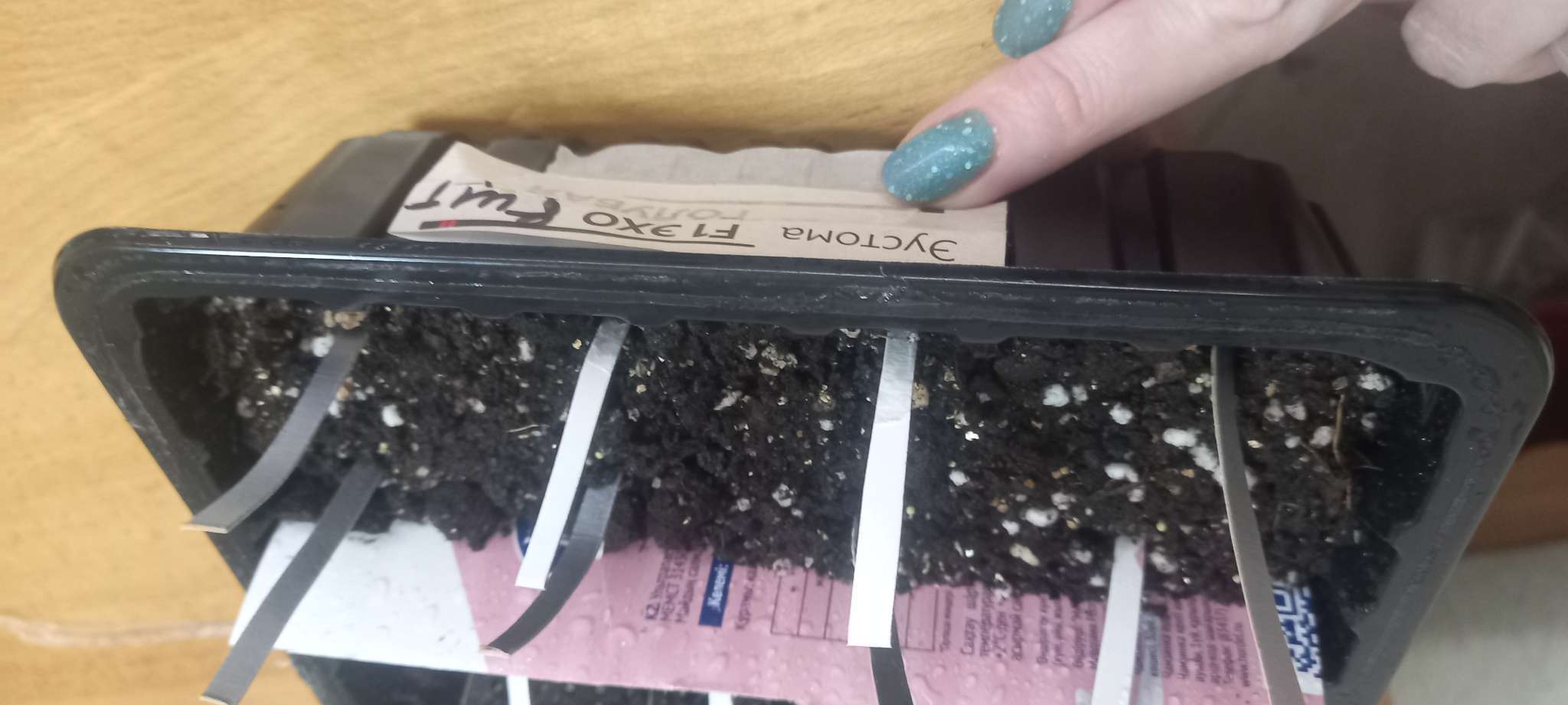 Фотография покупателя товара Семена цветов Эустома "Эхо" голубая F1, гранулы, пробирка, О, ц/п, 4 шт. - Фото 6