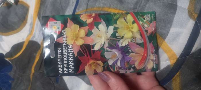 Фотография покупателя товара Семена цветов Аквилегия крупноцветковая «Маккана», 50 шт., «Дом семян» - Фото 1