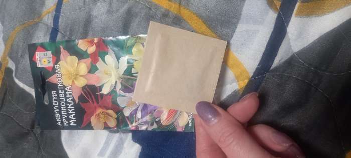 Фотография покупателя товара Семена цветов Аквилегия крупноцветковая «Маккана», 50 шт., «Дом семян» - Фото 3