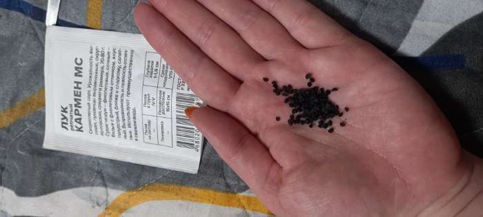 Фотография покупателя товара Семена Лук репчатый "Кармен МС", Сем. Алт, б/п, 0,5 г - Фото 2