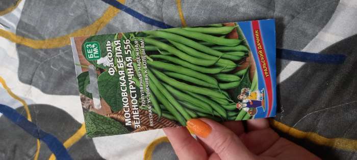 Фотография покупателя товара Семена Фасоль "Московская белая Зеленостручковая 556", 10 шт - Фото 1