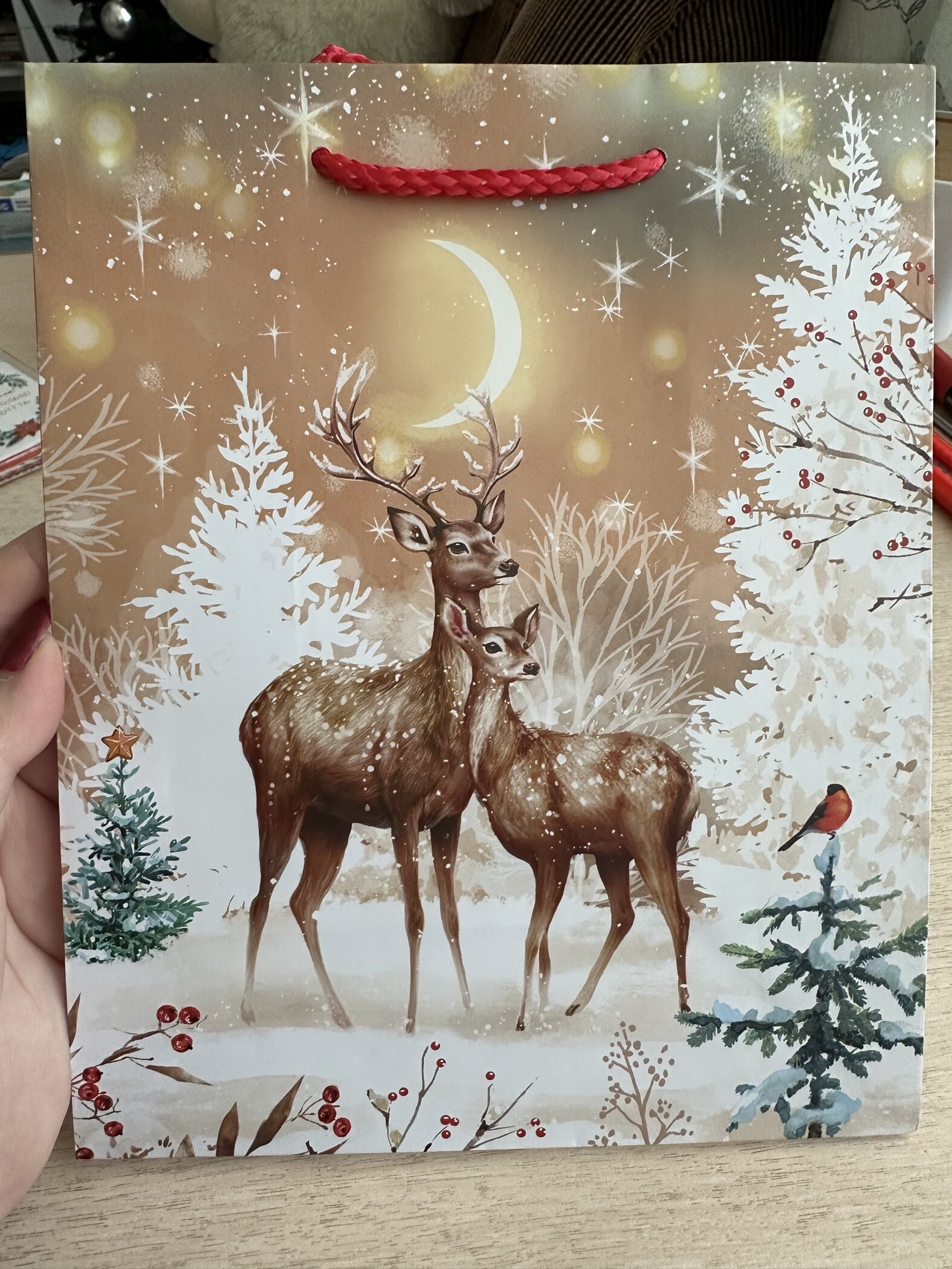 Фотография покупателя товара Пакет подарочный новогодний ламинированный «Новогоднее украшение», 18×22.3×10 см - Фото 1