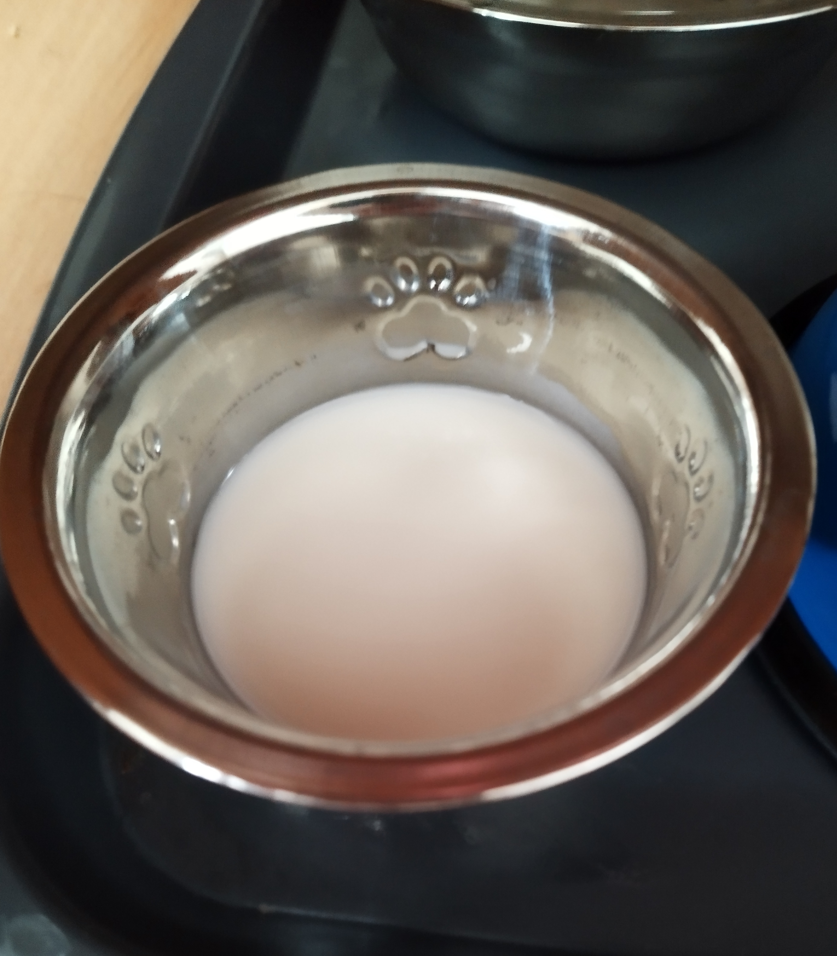 Фотография покупателя товара Миска стандартная рельефная, 225 мл - Фото 1