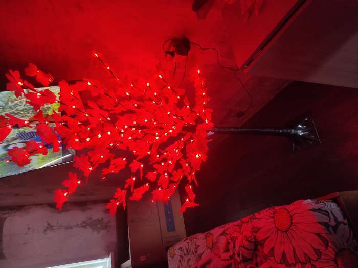 Фотография покупателя товара Светодиодное дерево «Клён осенний» 1.6 м, 160 LED, постоянное свечение, 220 В, свечение тёплое белое - Фото 1