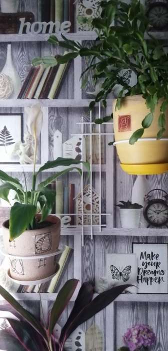 Фотография покупателя товара Подвес для кашпо, настенный, d=16 см, белый, «Прямая-2» - Фото 1