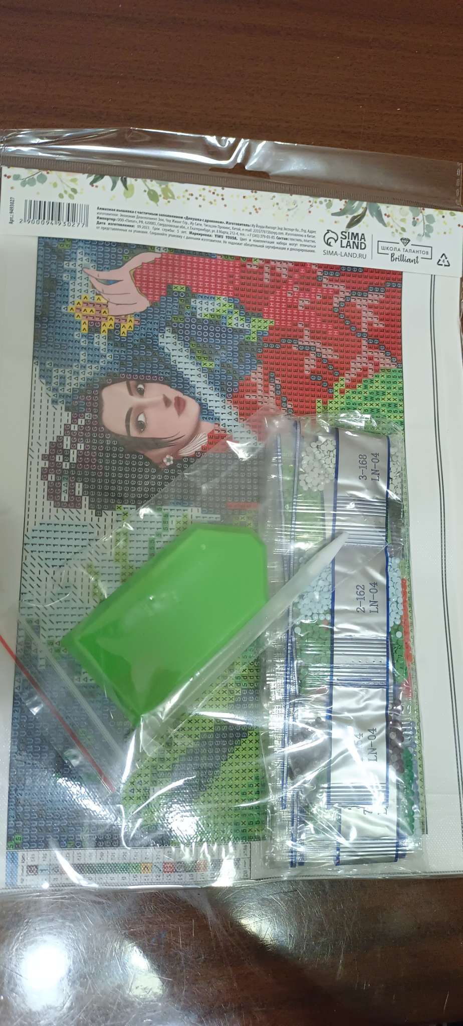 Фотография покупателя товара Алмазная мозаика с частичным заполнением на холсте «Девушка с драконом», 20×30 см - Фото 1