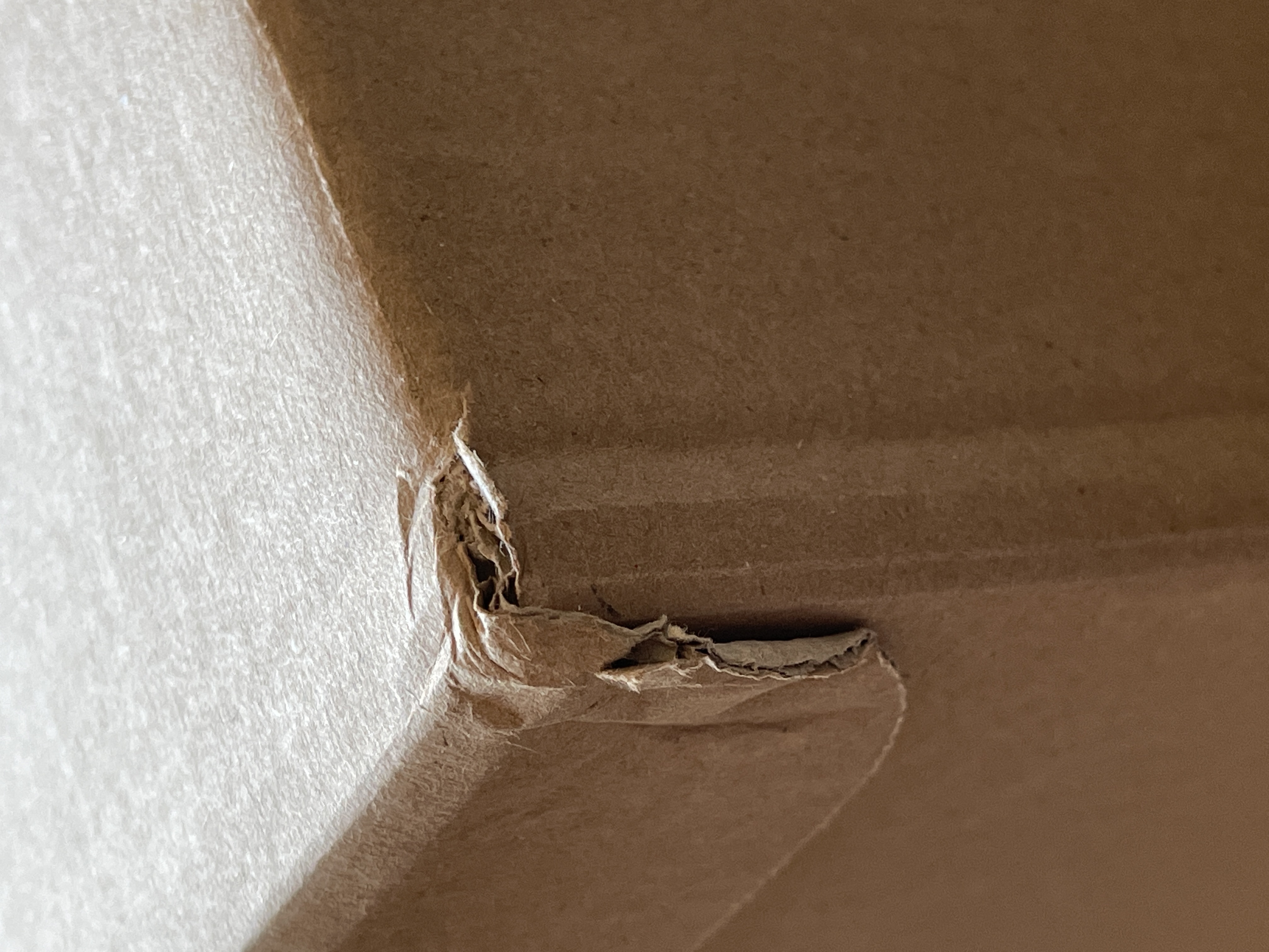 Фотография покупателя товара Коробка для хранения, бурая, 48 х 32,5 х 29,5 см - Фото 46