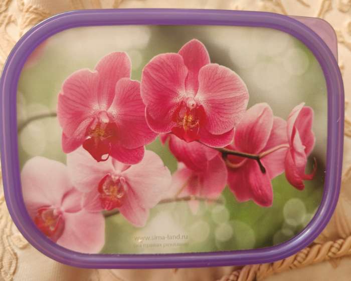 Фотография покупателя товара Ланч - бокс прямоугольный «Блинчики», 500 мл - Фото 1