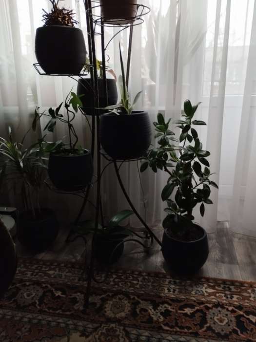 Фотография покупателя товара Горшок для цветов с поддоном «Япония», 2 л, пластиковый, графитовый - Фото 8