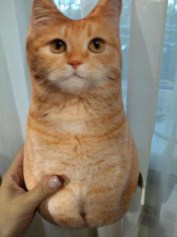 Фотография покупателя товара Игрушка-антистресс «Рыжий кот», 19х28 см - Фото 2