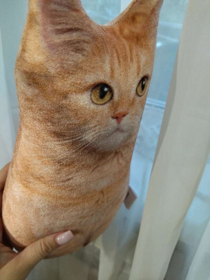 Фотография покупателя товара Игрушка-антистресс «Рыжий кот», 19х28 см - Фото 1