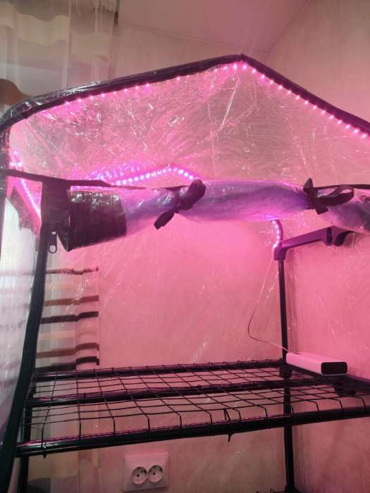 Фотография покупателя товара Фитолента для растений Luazon Lighting, светодиодная, 6.2 Вт, 1 м, IP20, 5 В, 60 LED/м, USB, SMD5050, мультиспектральная - Фото 3