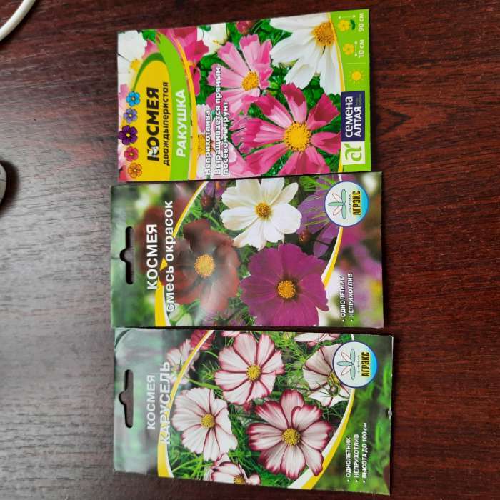 Фотография покупателя товара Семена цветов однолетние Космея смесь 0,2 - Фото 1