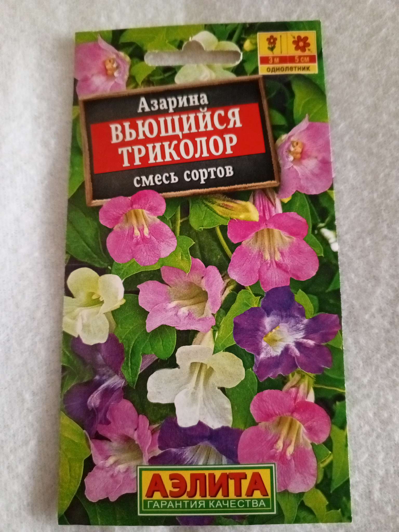 Фотография покупателя товара Семена Цветов Азарина "Вьющийся триколор", смесь сортов, 5 шт - Фото 1