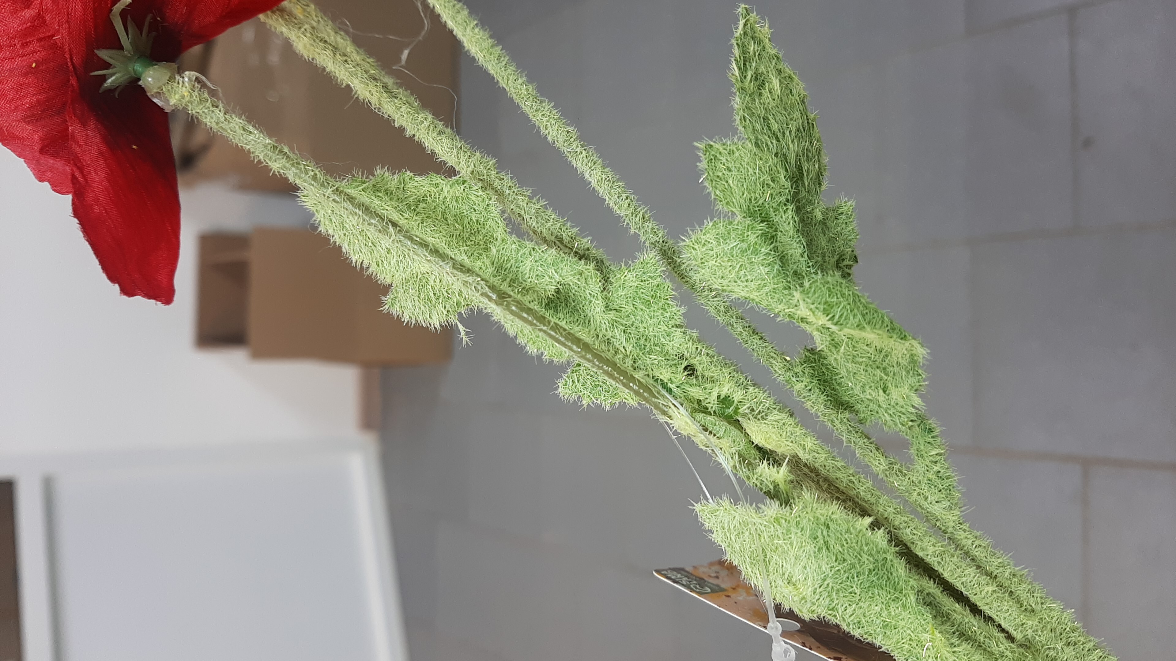 Фотография покупателя товара Цветы искусственные «Маки полевые», 5×58 см, красные - Фото 5