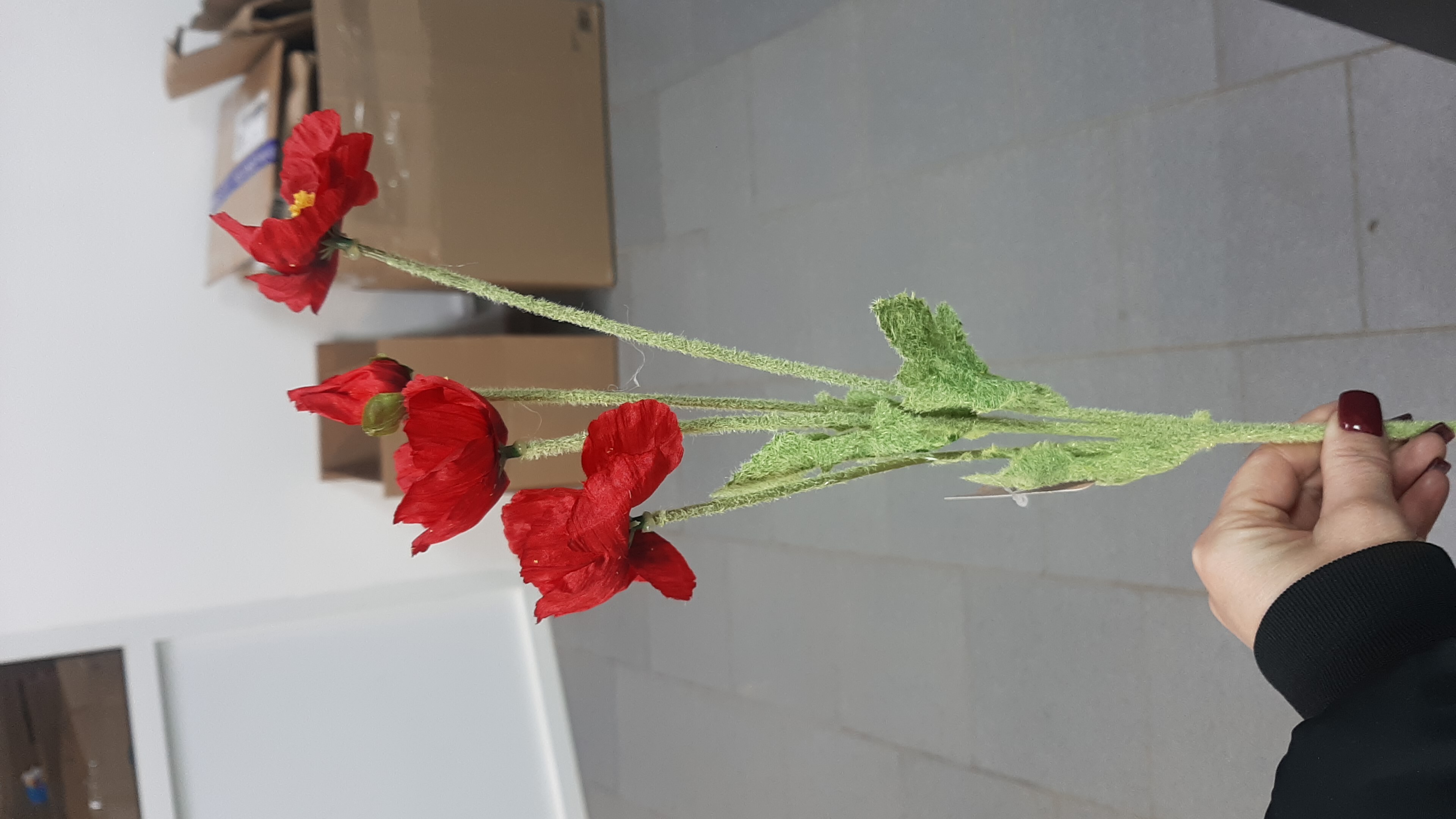 Фотография покупателя товара Цветы искусственные «Маки полевые», 5×58 см, красные - Фото 6