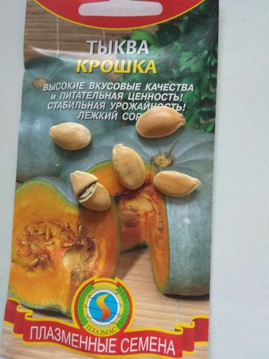 Фотография покупателя товара Семена Тыква "Крошка", 2 г - Фото 1